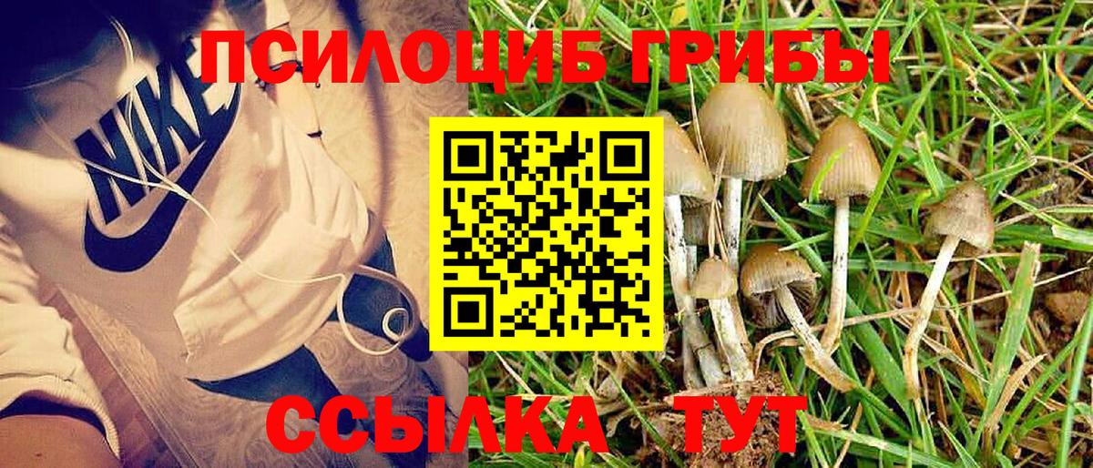 Псилоцибиновые грибы мухоморы Волгодонск