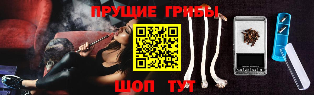 Волгодонск  Псилоцибиновые грибы мухоморы  Вход с VPN  Галлюциногенные грибы Psilocybe 
